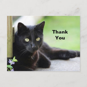 Mooie foto van zwarte kat Bedankt Briefkaart