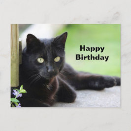 Mooie foto van zwarte kat verjaardag briefkaart