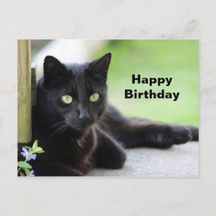 Mooie foto van zwarte kat verjaardag briefkaart