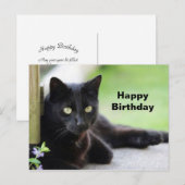 Mooie foto van zwarte kat verjaardag briefkaart (Voorkant / Achterkant)
