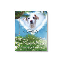 Mooie foto Voeg je foto-herinneringen toe