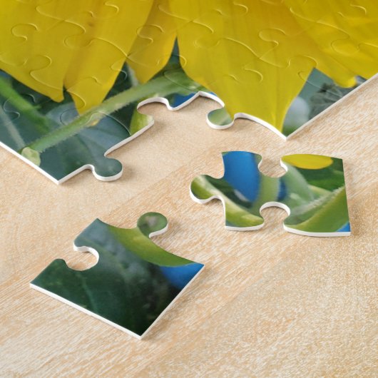 Mooie foto zonnebloem legpuzzel (Zijkant)