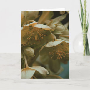 Mooie fotografie bloemenbloem blanco kaart