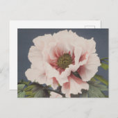 Mooie fotomechanische prints van Peony Flowers Briefkaart (Voorkant / Achterkant)