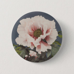 Mooie fotomechanische prints van Peony Flowers Ronde Button 5,7 Cm