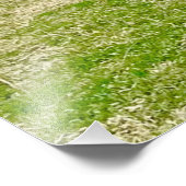 Mooie foto's op schaal foto afdruk (Hoek)