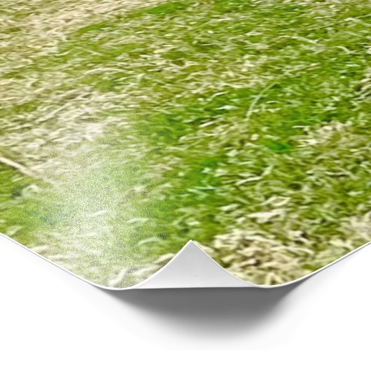 Mooie foto's op schaal foto afdruk (Hoek)