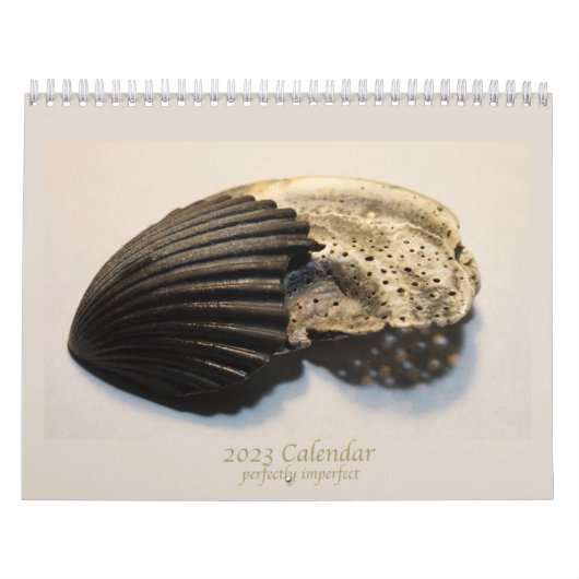 Mooie foto's van de kalender van gebroken schalen (Hoes)