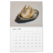 Mooie foto's van de kalender van gebroken schalen (Jan 2027)