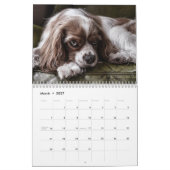 Mooie foto's van honden kalender (Mar 2027)