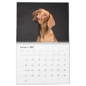 Mooie foto's van honden kalender (Jan 2027)