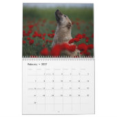 Mooie foto's van honden kalender (Feb 2027)