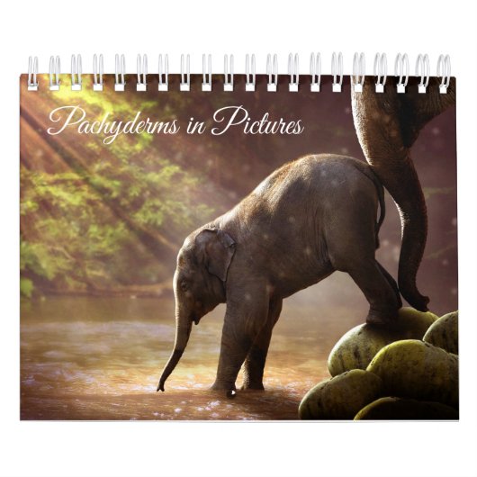 Mooie foto's van olifant kalender (Hoes)