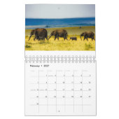 Mooie foto's van olifant kalender (Feb 2027)