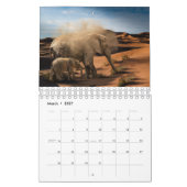 Mooie foto's van olifant kalender (Mar 2027)