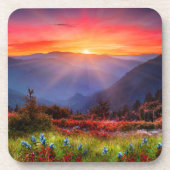 Mooie foto's van Sunset Wild Flowers Bier Onderzetter (Voorkant)