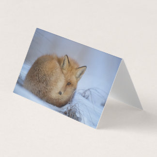 Mooie Fox Blank Kaart