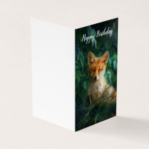 Mooie Fox Verjaardag Kaart