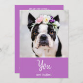 *~* Mooie Franse Bulldog  Uitnodiging Franse Bulld (Voorkant / Achterkant)