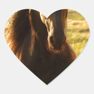 MOOIE FRIESE PAARDENHENGST HART STICKER