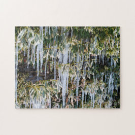 Mooie Frosty Autumn Branches Icicle Icic Leaf Legpuzzel
