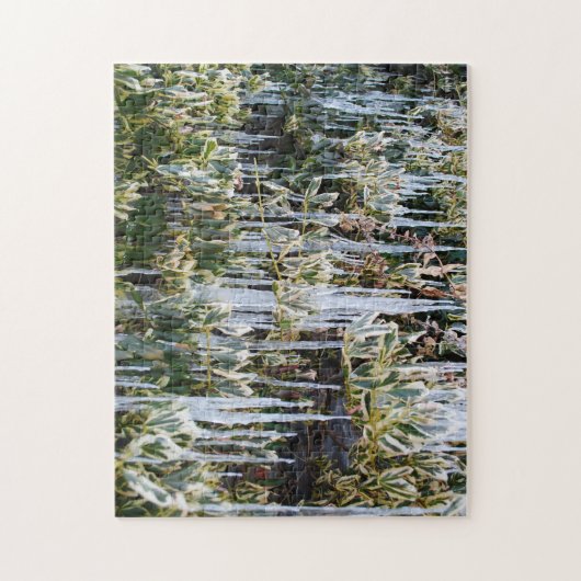 Mooie Frosty Autumn Branches Icicle Icic Leaf Legpuzzel (Verticaal)