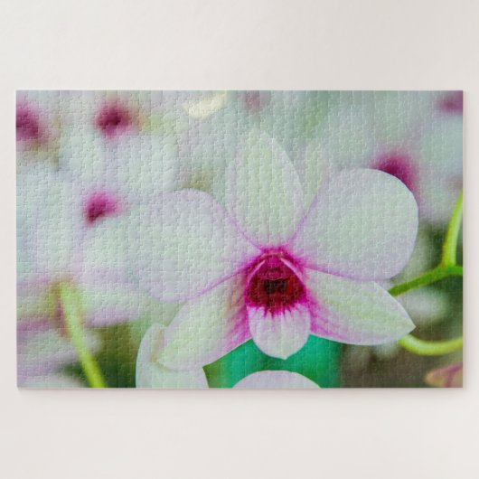 Mooie fuchsie en witte bloem legpuzzel (Horizontaal)