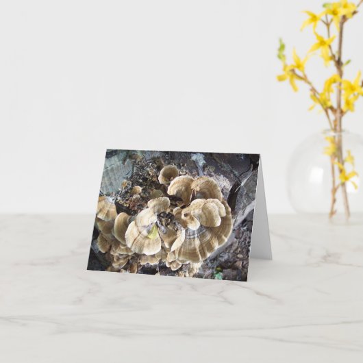 Mooie Fungus Note Kaart (Gele Bloem)