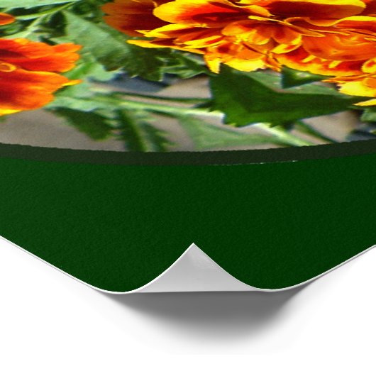 Mooie game Fowl Poster (Hoek)