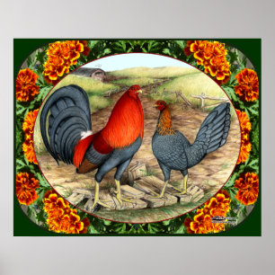 Mooie game Fowl Poster