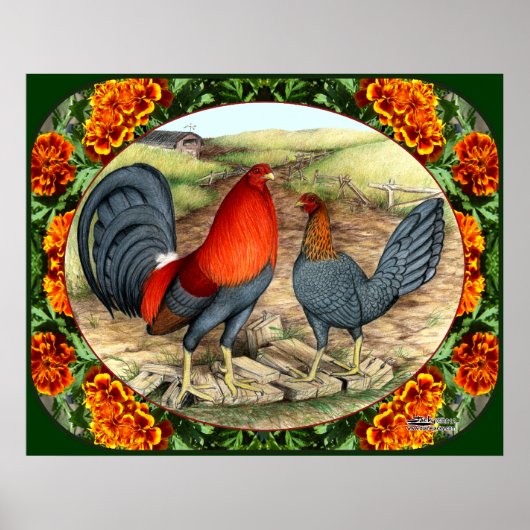 Mooie game Fowl Poster (Voorkant)
