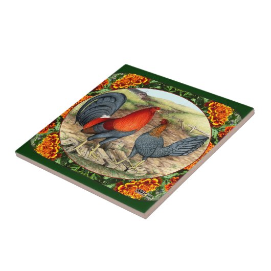 Mooie game Fowl Tegeltje (Zijkant)