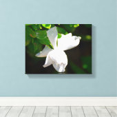 Mooie Gardenia Bloem Canvas Afdruk (Insitu (Houten vloer))