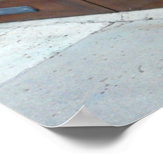 Mooie Gateway in Charleston Poster (Hoek)