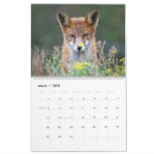 Mooie geest van de kalender van de Fox 2021-muur (Mar 2026)