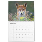 Mooie geest van de kalender van de Fox 2021-muur (Mar 2027)