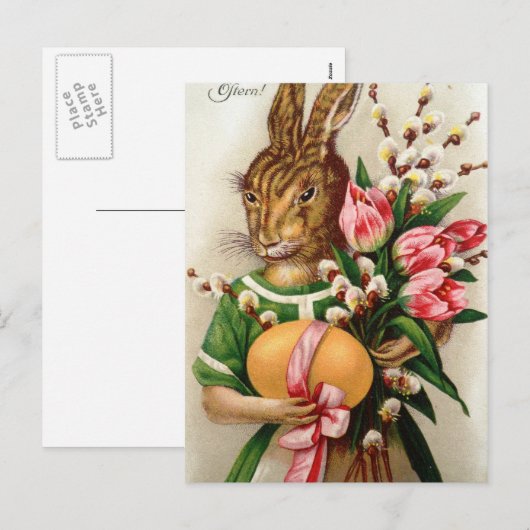 Mooie geklede paashaas dame feestdagenkaart (Voorkant / Achterkant)