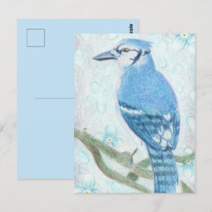 Mooie gekleurde potlood Blauwe Gaai briefkaart