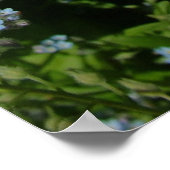 Mooie gele bloem, Daisy Poster (Hoek)