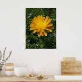 Mooie gele bloem, Daisy Poster (Keuken)