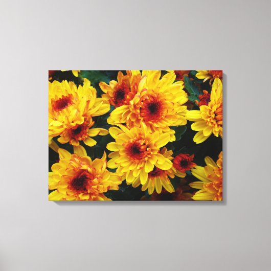 Mooie Gele Bloemen Achtergrond Canvas Afdruk (Voorkant)