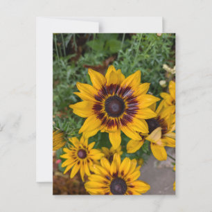 Mooie gele bloemen briefkaart