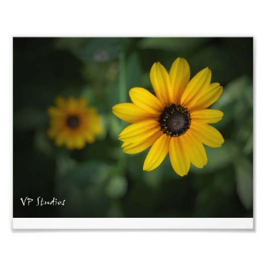 Mooie gele bloemen! foto afdruk (Voorkant)