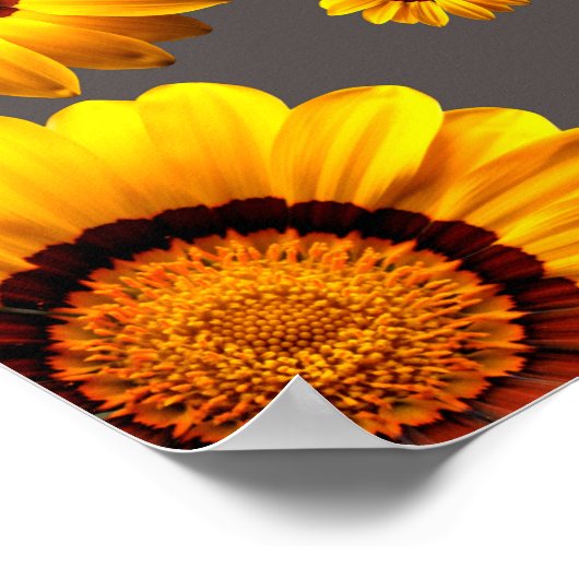 Mooie gele bloemen op grijze achtergrond poster (Hoek)