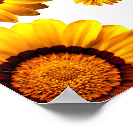 Mooie gele bloemen poster (Hoek)