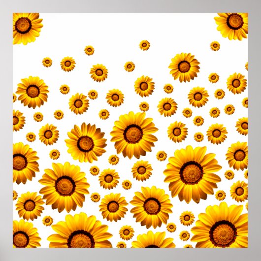 Mooie gele bloemen poster (Voorkant)