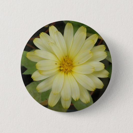 Mooie gele Button (Voorkant)