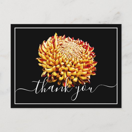 Mooie Gele En Rode Chrysant Dank Je Briefkaart (Voorkant)