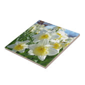 Mooie gele en witte daffodiestuin tegeltje (Zijkant)