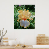 Mooie Gele en Witte Iris Bloem Foto  Poster (Keuken)